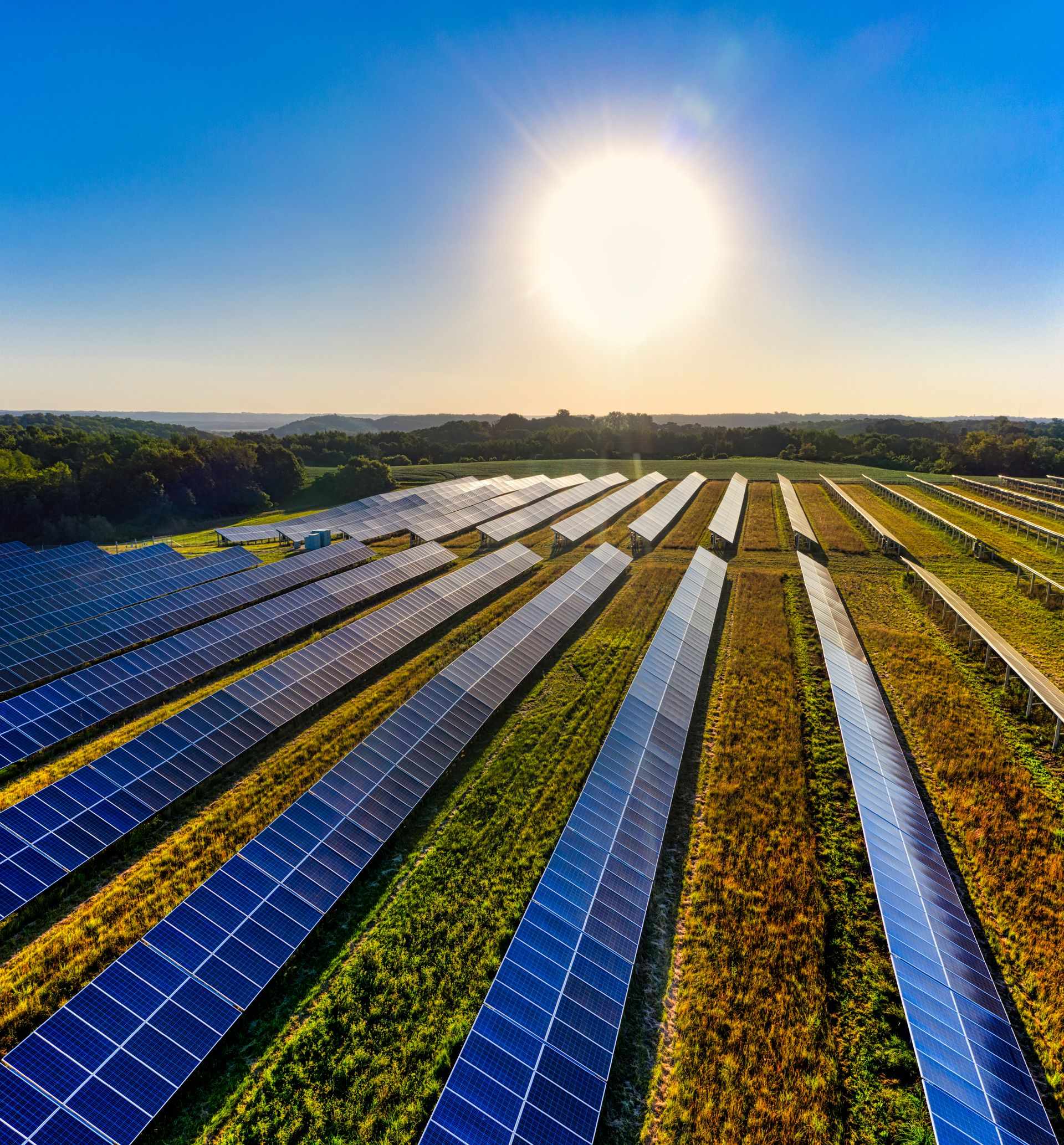 Vista aérea de una granja solar al amanecer