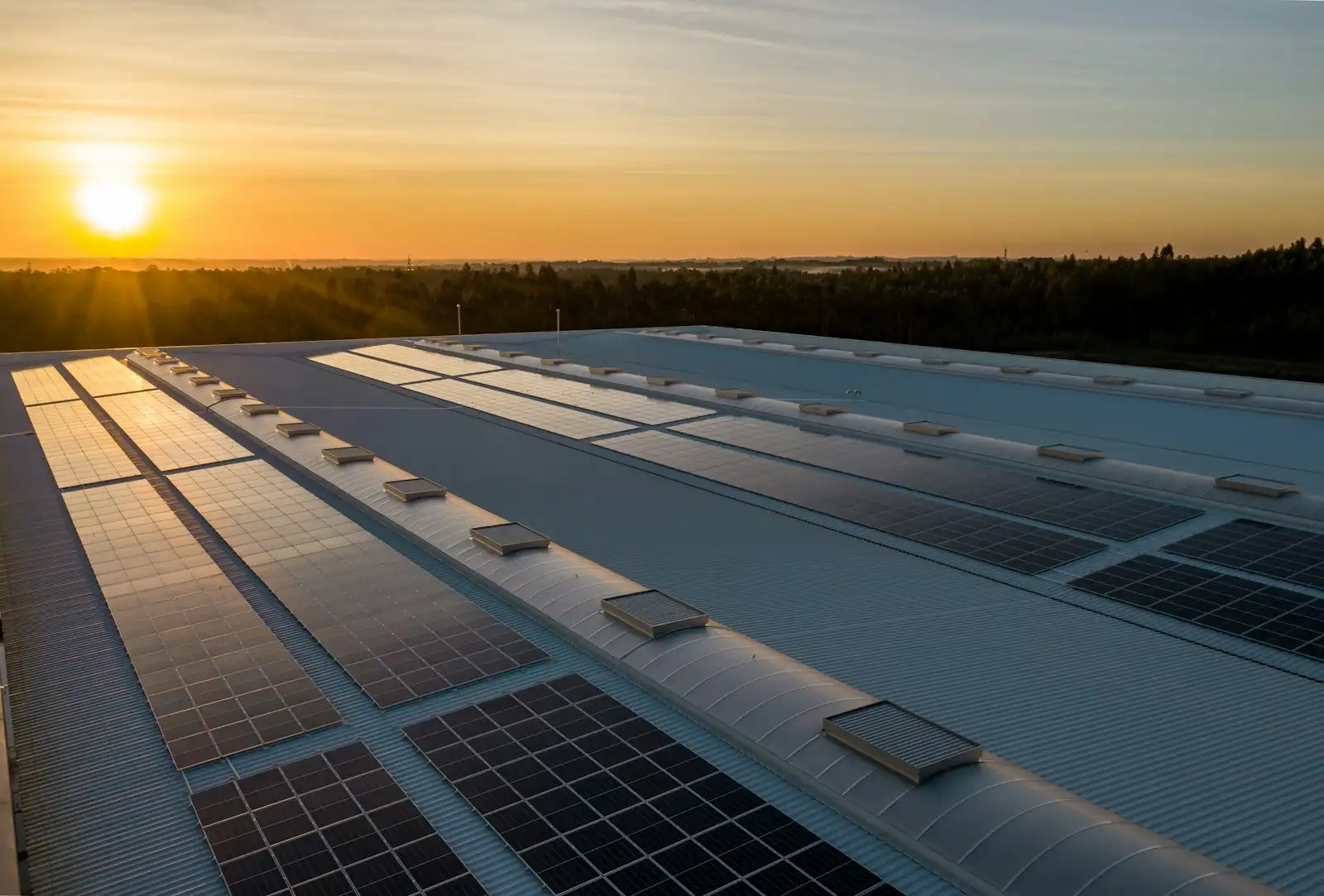 Proyecto: Planta agroindustrial con energía solar — Ica